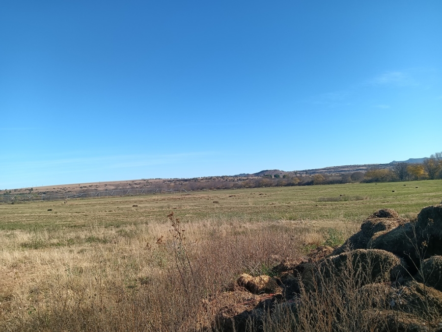 6 Bedroom Property for Sale in Aliwal North Eastern Cape